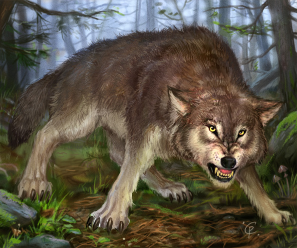 Матерый волк